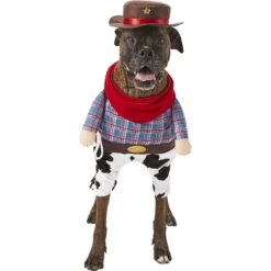 Frisco Front Walking Cowboy Dog & Cat Costume