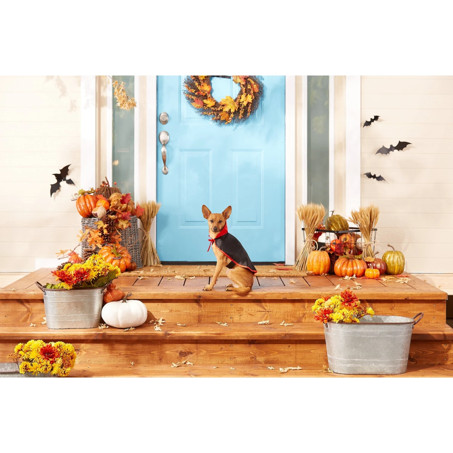 Frisco Vampire Cape Dog & Cat Costume - Image 3