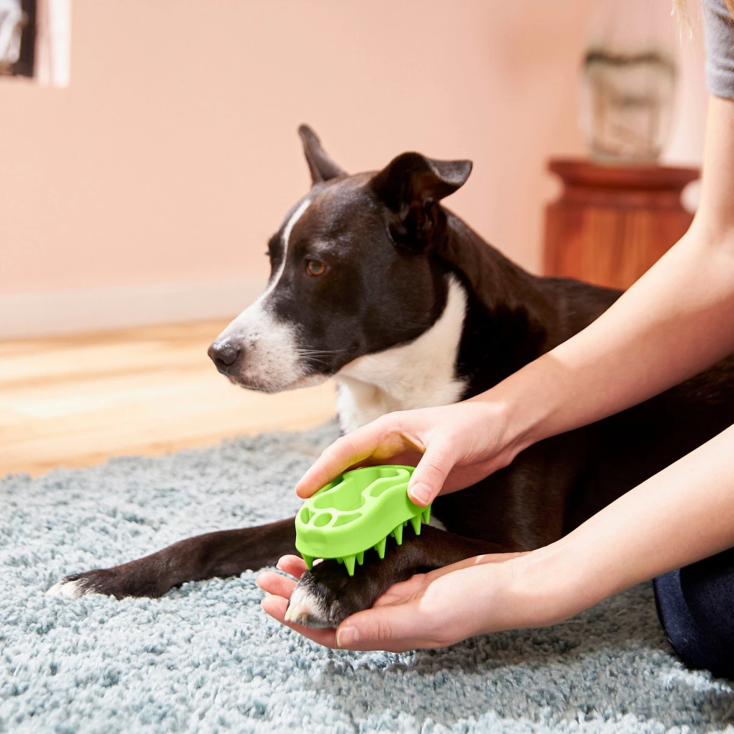 Frisco Bone Dog Curry Brush - Image 3