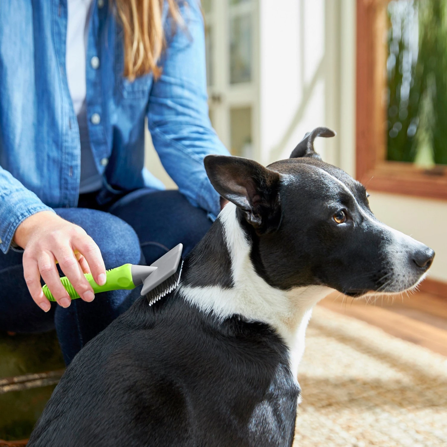 Frisco Soft Slicker Dog Brush, One Size - Image 3