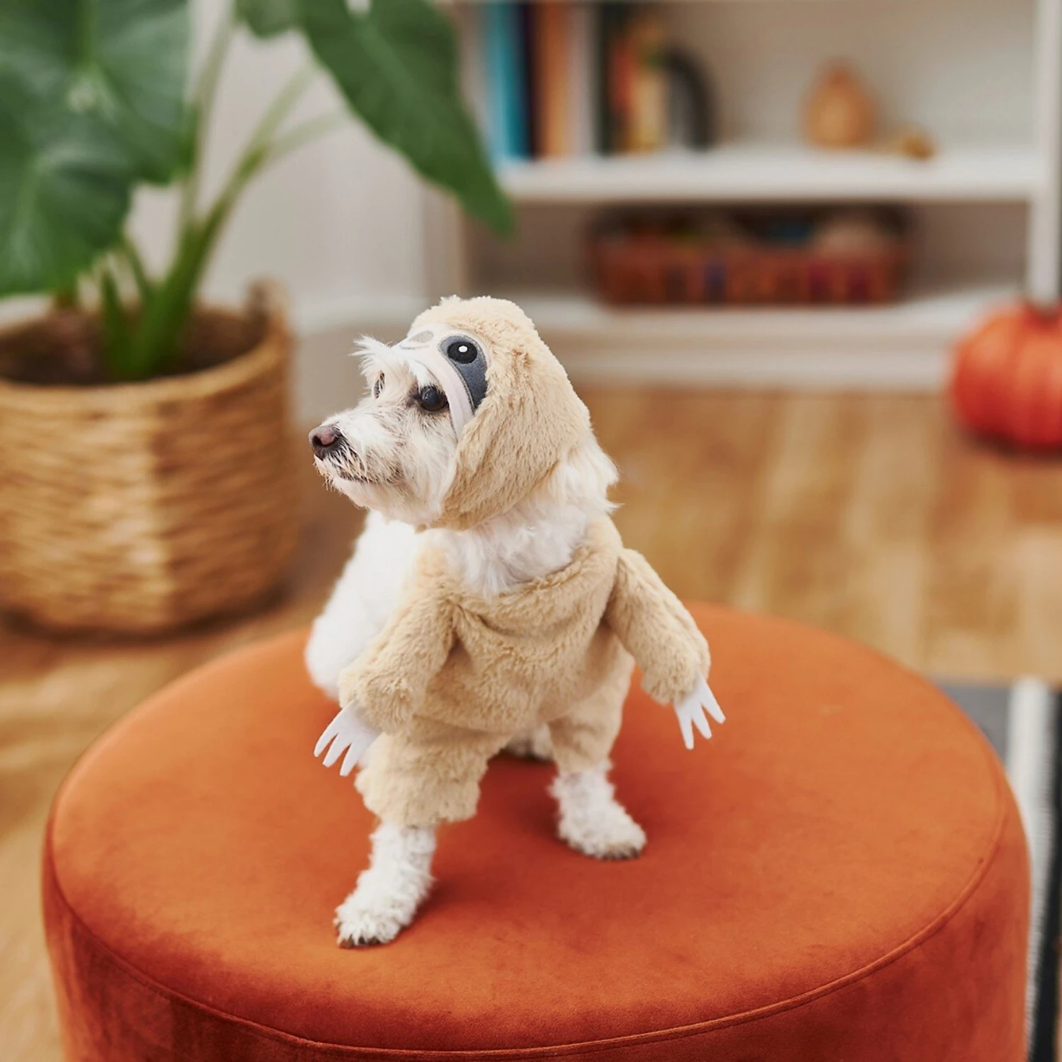 Frisco Front Walking Sloth Dog & Cat Costume - Image 6