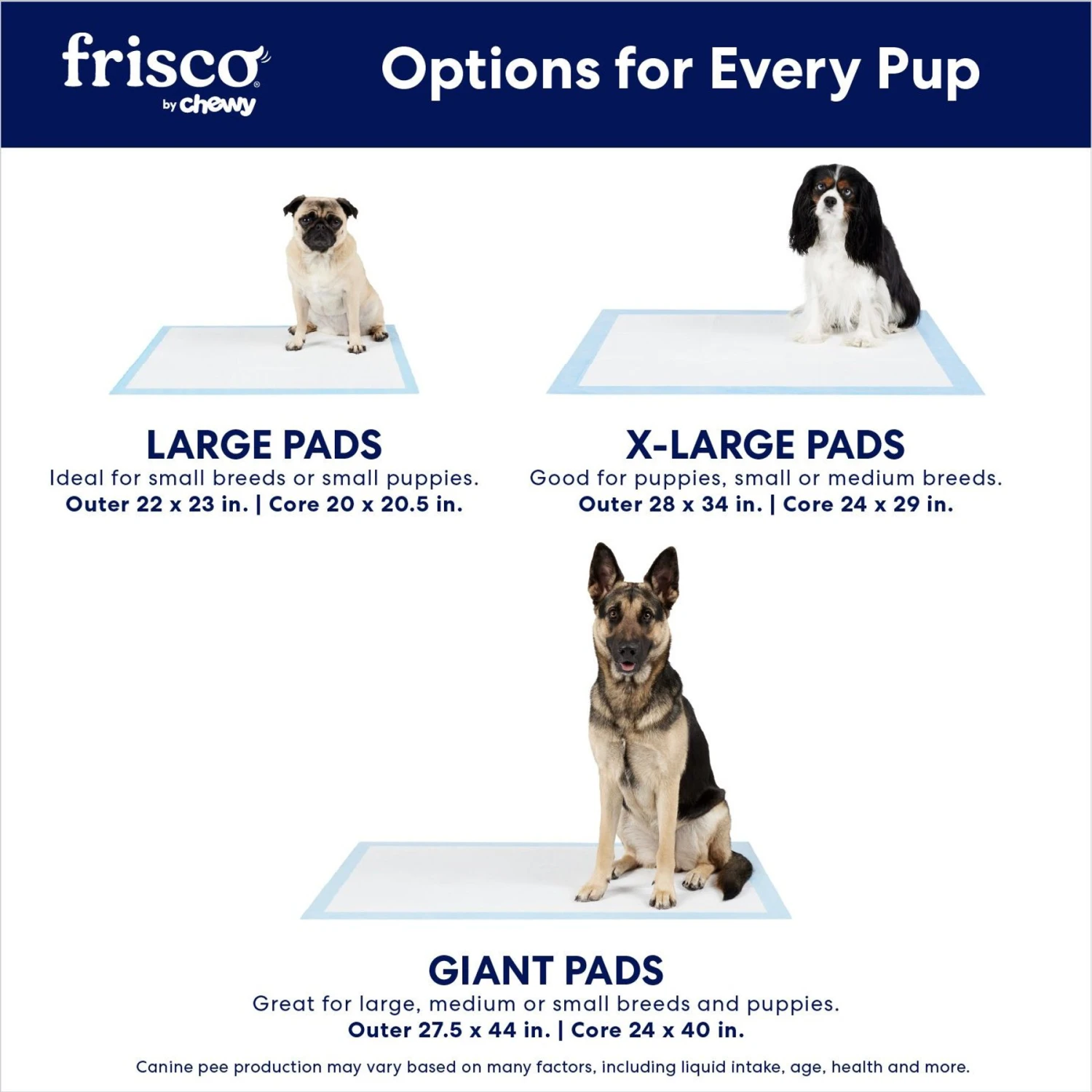 Frisco Printed Dog Training & Potty Pads - Image 4