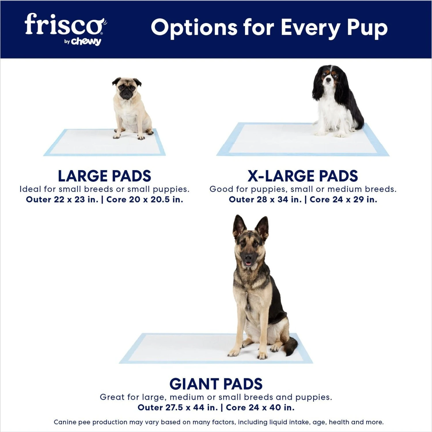 Frisco Premium Extra Large Printed Dog Training & Potty Pads - Image 4