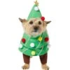 Frisco Front Walking Christmas Tree Dog & Cat Costume