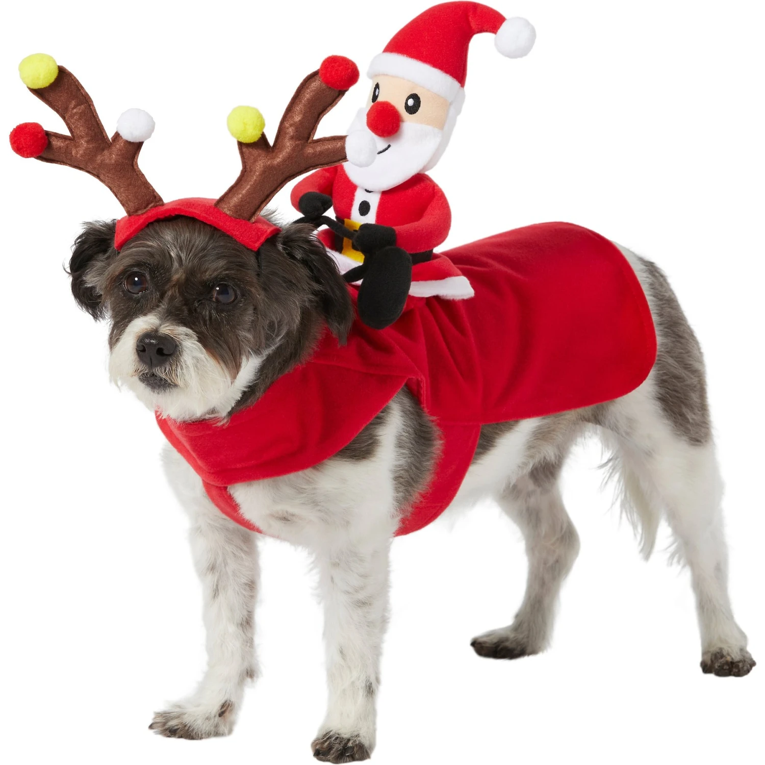 Frisco Santa Rider Dog & Cat Costume