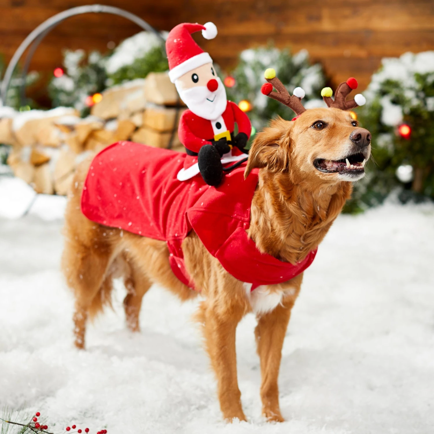 Frisco Santa Rider Dog & Cat Costume - Image 6