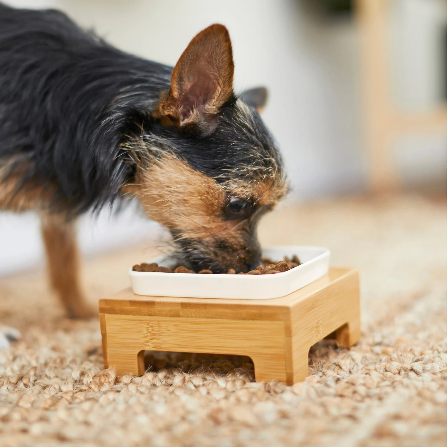 Frisco Square Melamine Dog & Cat Bowl With Bamboo Stand - Image 7