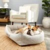 Frisco Rectangular Personalized Bolster Dog Bed W/Removable Cover, Beige, Medium