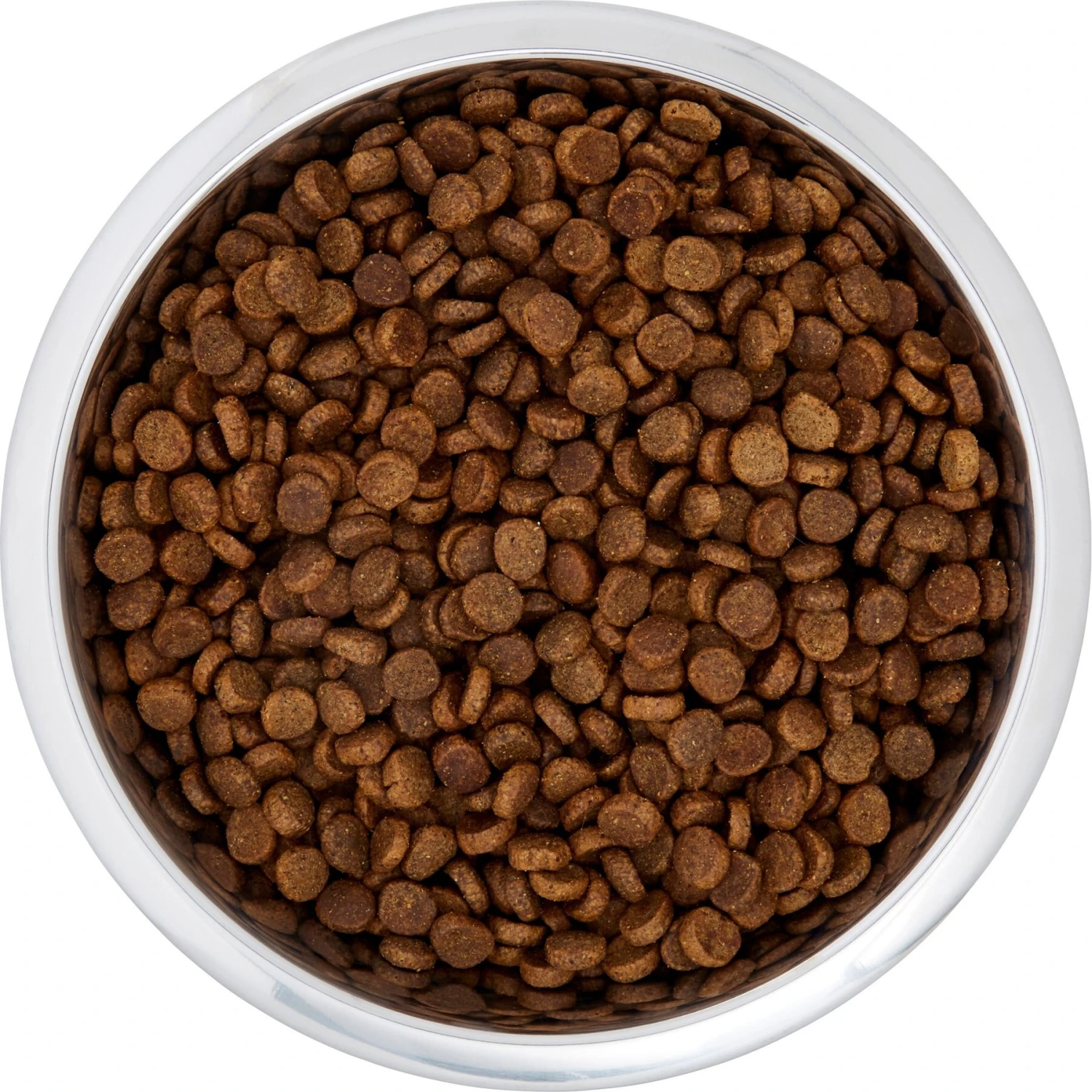 Frisco Black Iron Non-Skid Stainless Steel Dog & Cat Bowl - Image 5