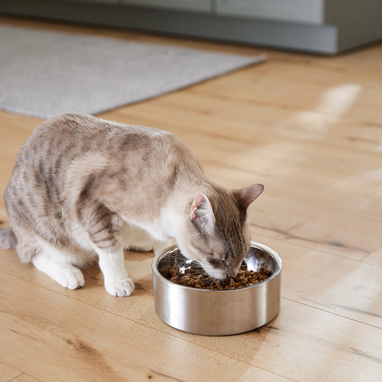 Frisco Insulated Non-Skid Flair Stainless Steel Dog & Cat Bowl - Image 8