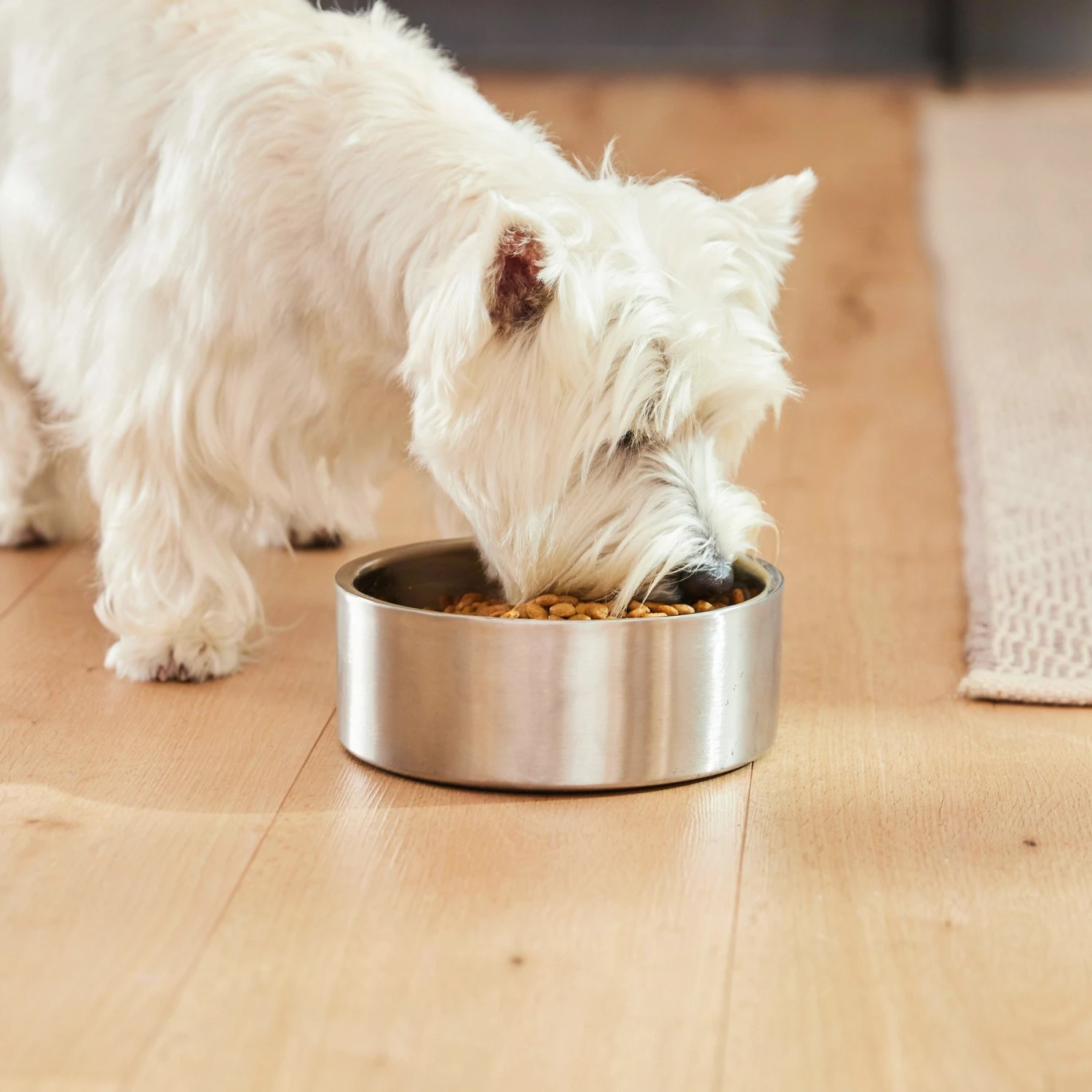 Frisco Insulated Non-Skid Flair Stainless Steel Dog & Cat Bowl - Image 9