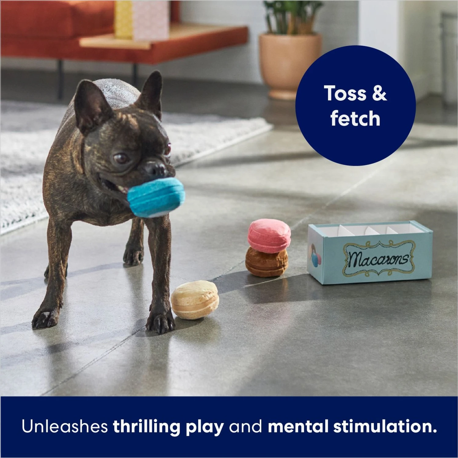 Frisco Macaron Interactive Plush Squeaky Dog Toy - Image 5