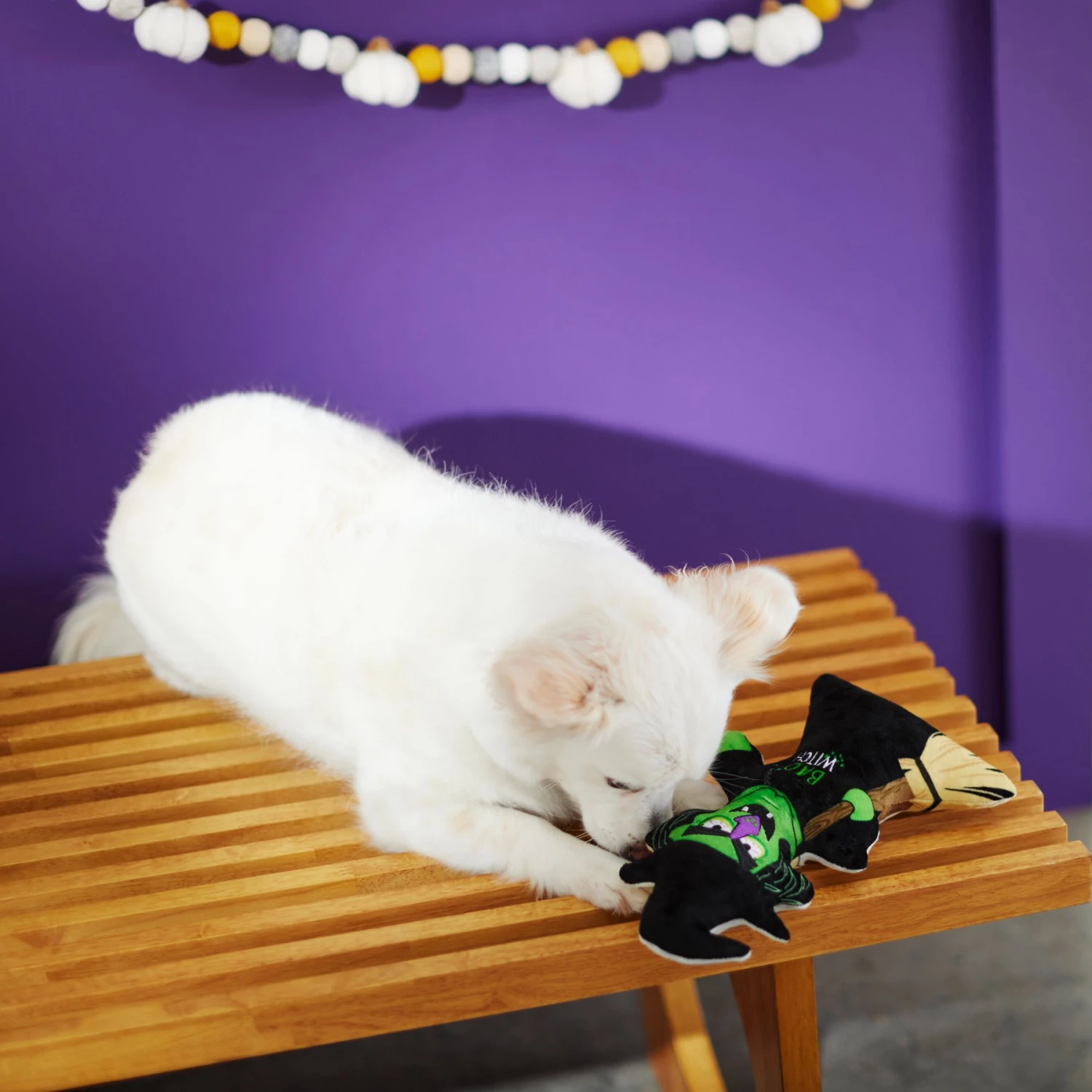 Frisco Halloween Good Witch, Bad Witch Reversible Plush Squeaky Dog Toy - Image 4