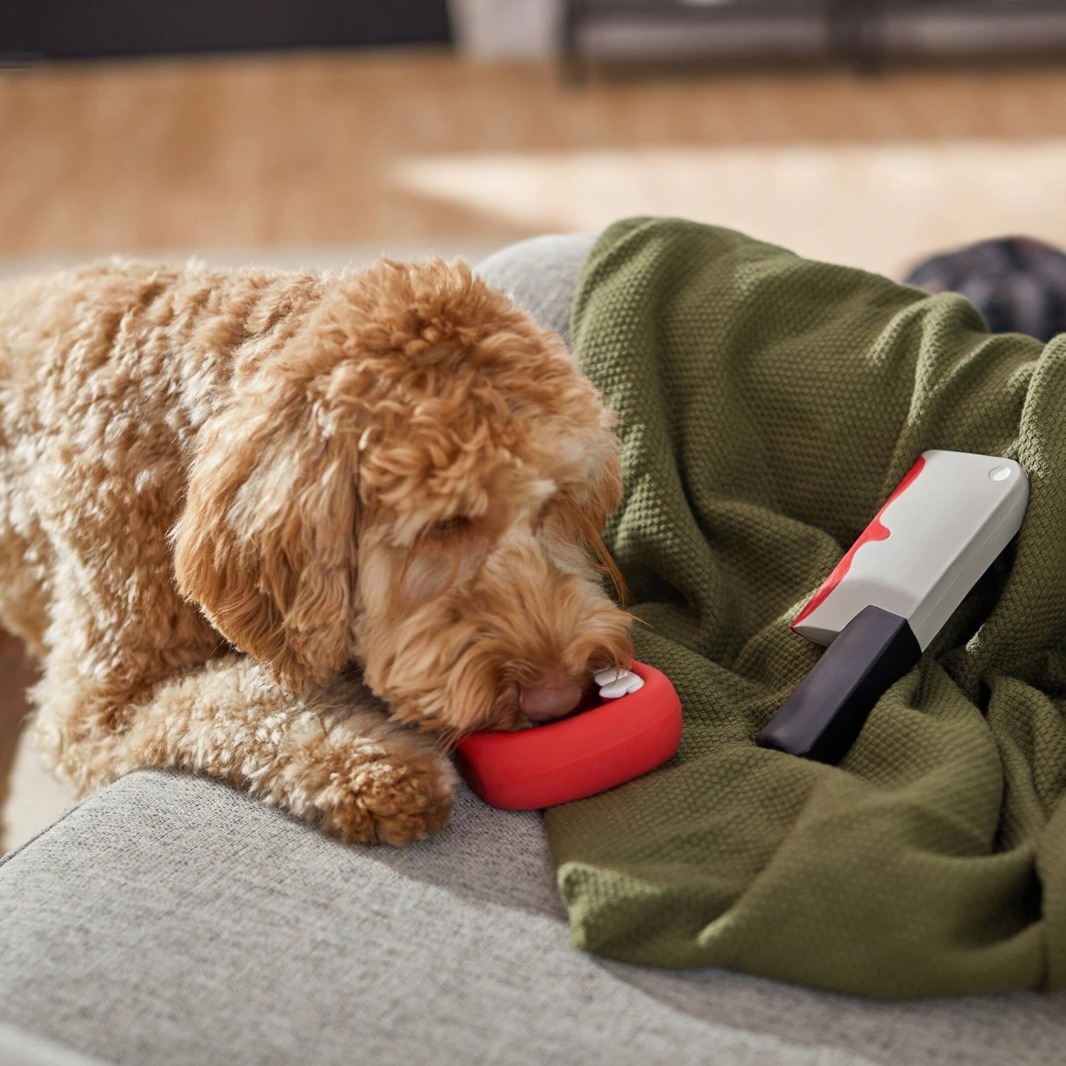 Frisco Halloween Vampire Teeth & Knife Latex Squeaky Dog Toy - Image 3