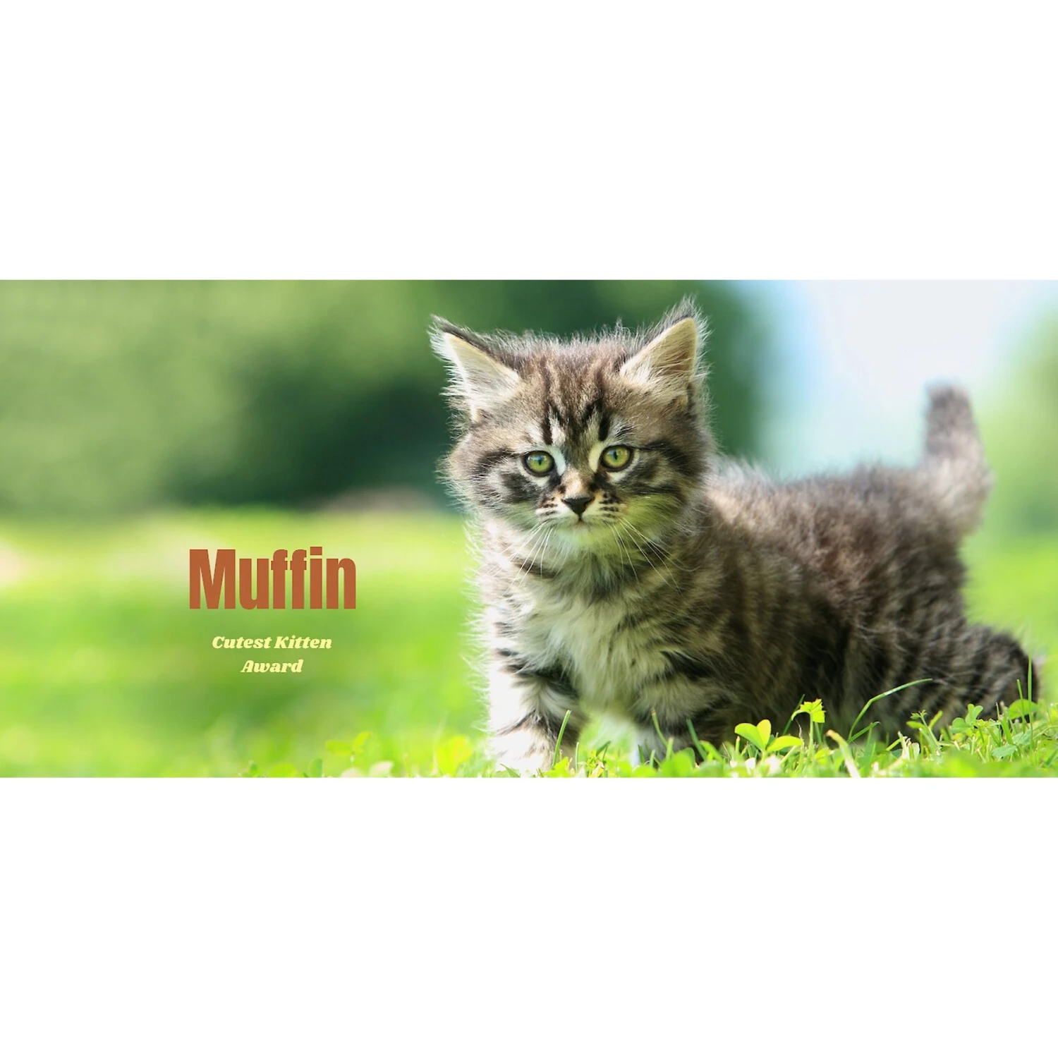 Frisco Basic Insulated Stainless Steel Personalized Mug, 10-oz - Image 3