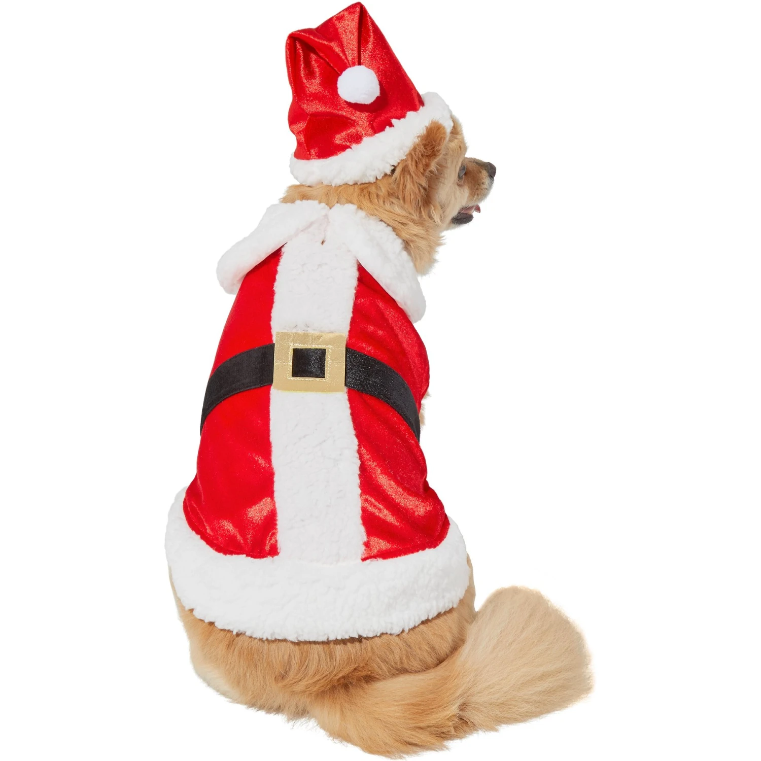 Frisco Mr. Claus Dog & Cat Costume - Image 3
