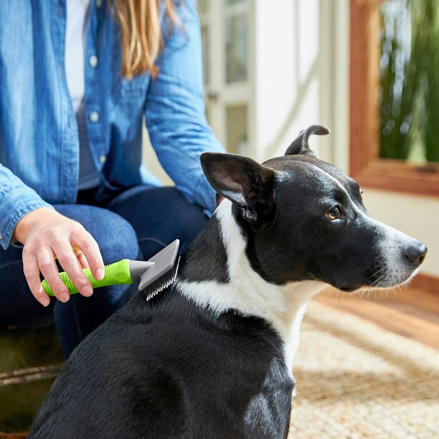 Frisco Soft Slicker Dog Brush, One Size & Frisco Deshedding Dog & Cat Brush - Image 4