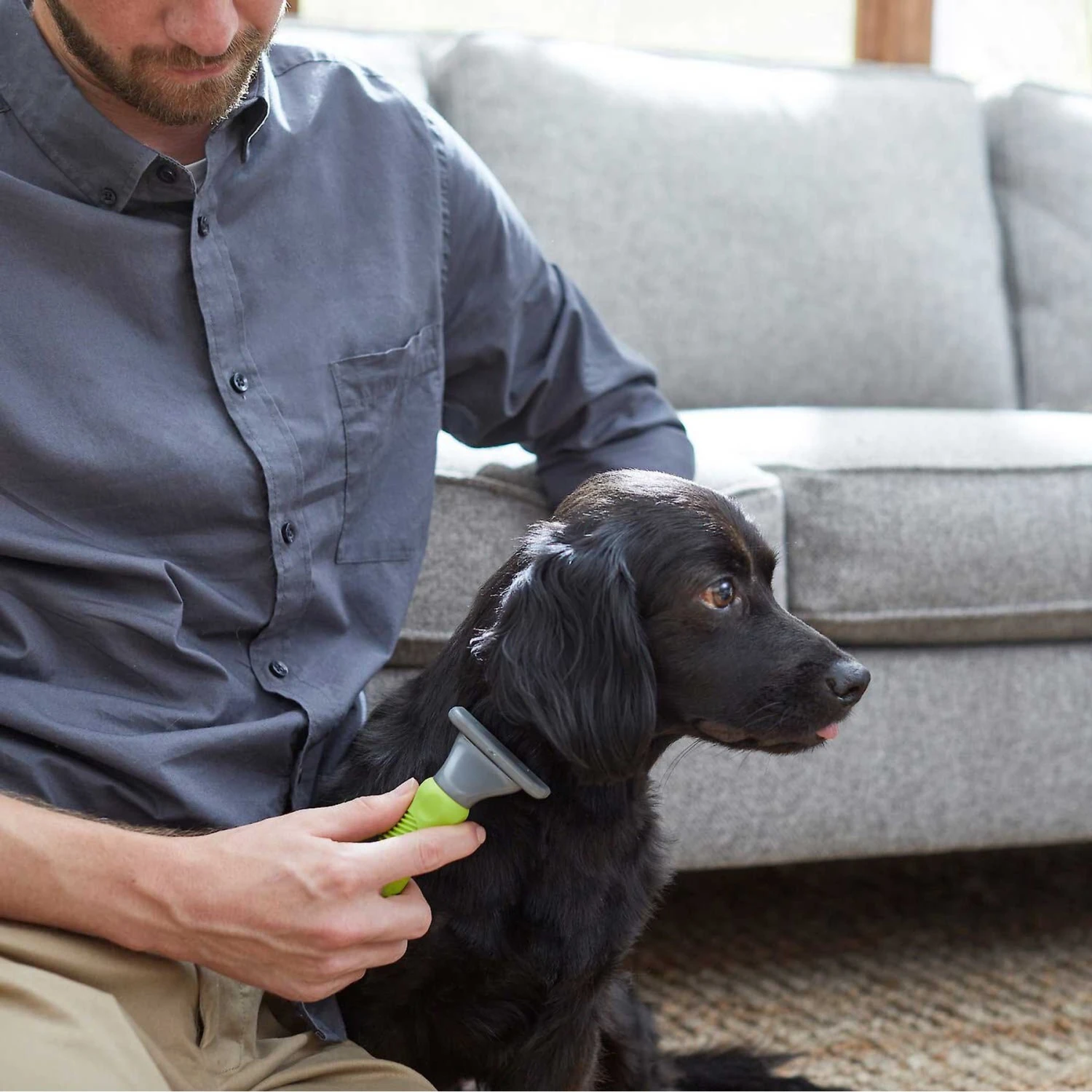 Frisco Soft Slicker Dog Brush, One Size & Frisco Deshedding Dog & Cat Brush - Image 7