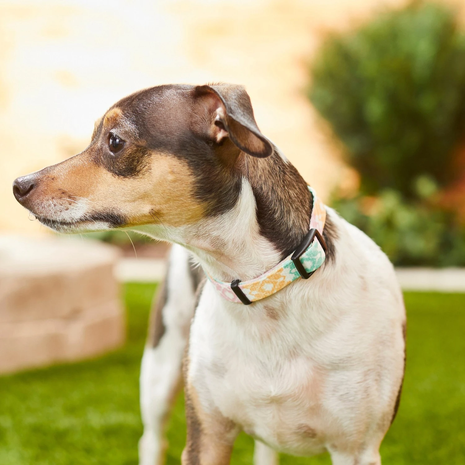 Frisco Pastel Tie Dye Polyester Personalized Dog Collar - Image 5