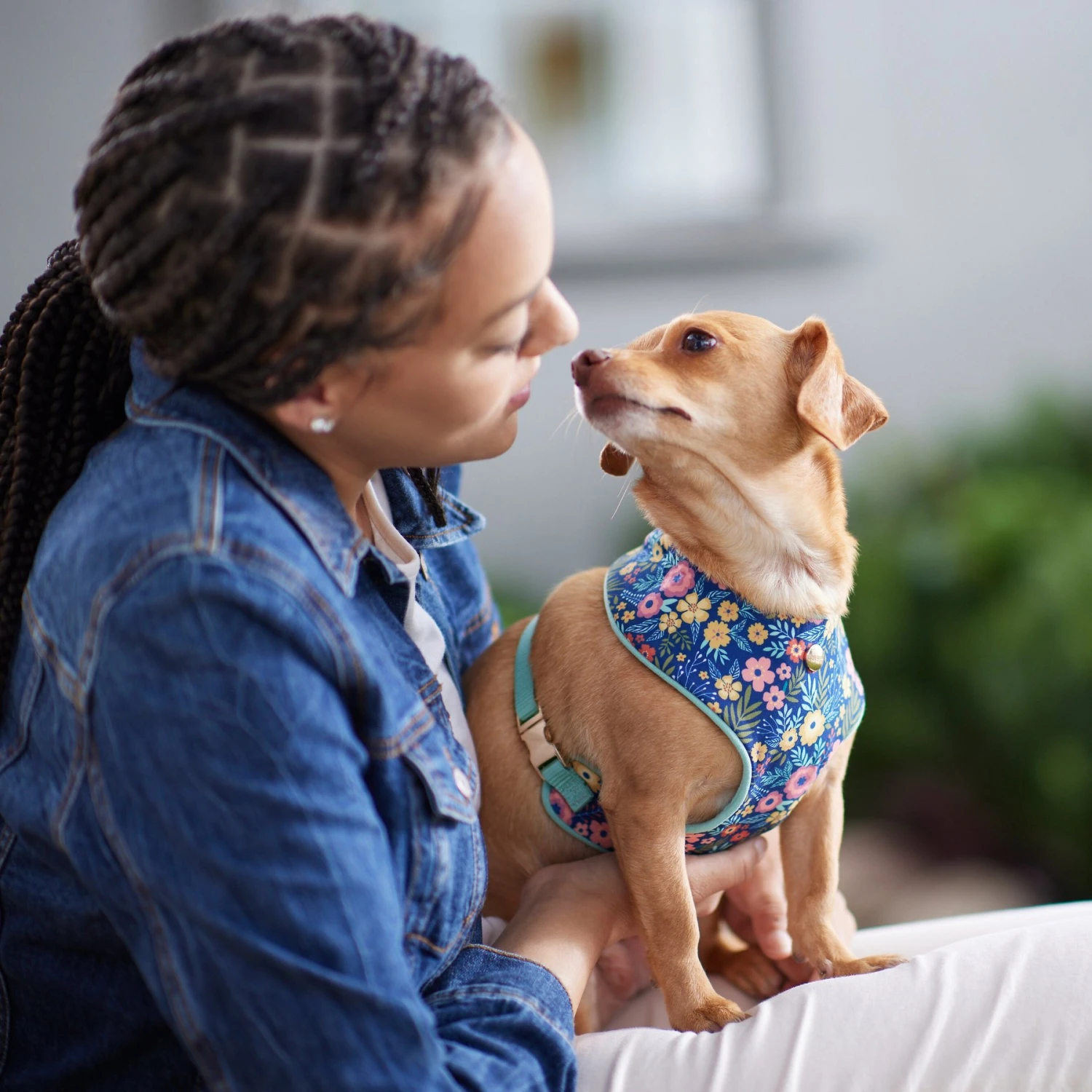 Frisco Fashion Over-The-Head Harness, Tropical Floral - Image 5