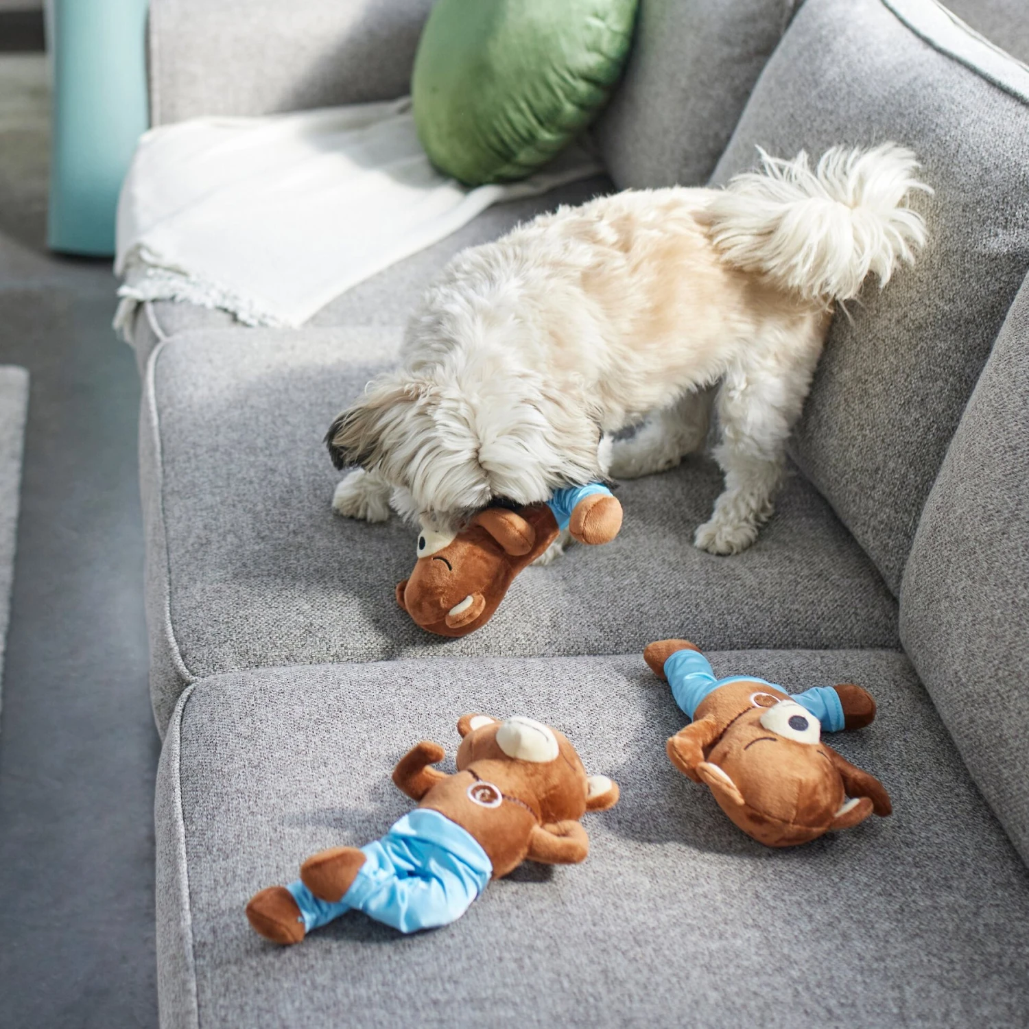 Frisco New Year, New Me Namaste Bear Plush Squeaky Dog Toy - Image 3