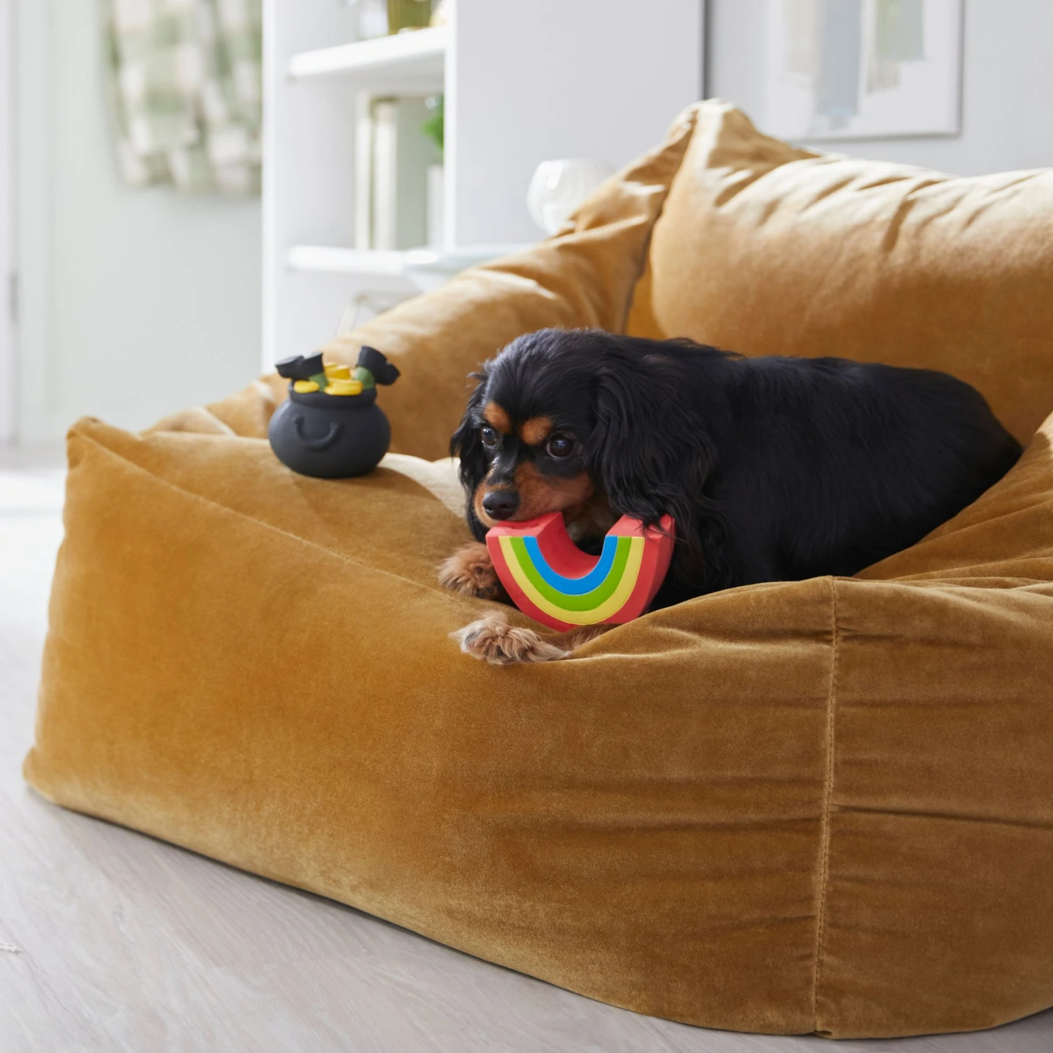 Frisco St. Patrick's Rainbow And Pot Of Gold Latex Squeaky Dog Toy - Image 4