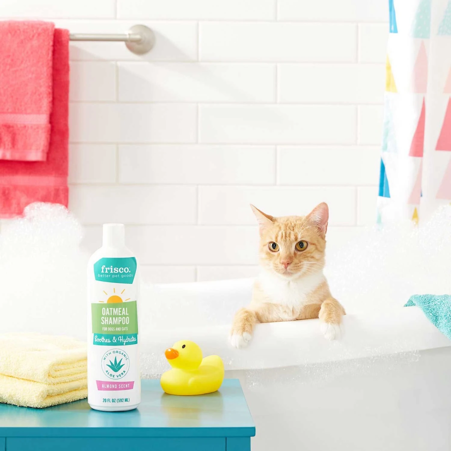 Frisco Aloe Hydrating Dog & Cat Spray, Sweet Nectar Scent & Frisco Oatmeal Dog & Cat Shampoo, Almond Scent - Image 9