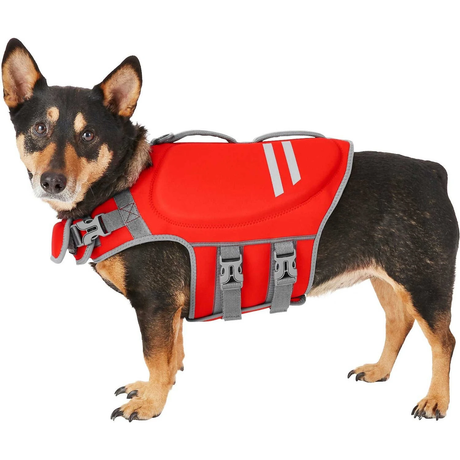 Frisco Neoprene Dog Life Jacket & Frisco Foam Rubber Floating Fetch Ball No Squeak Dog Toy - Image 2