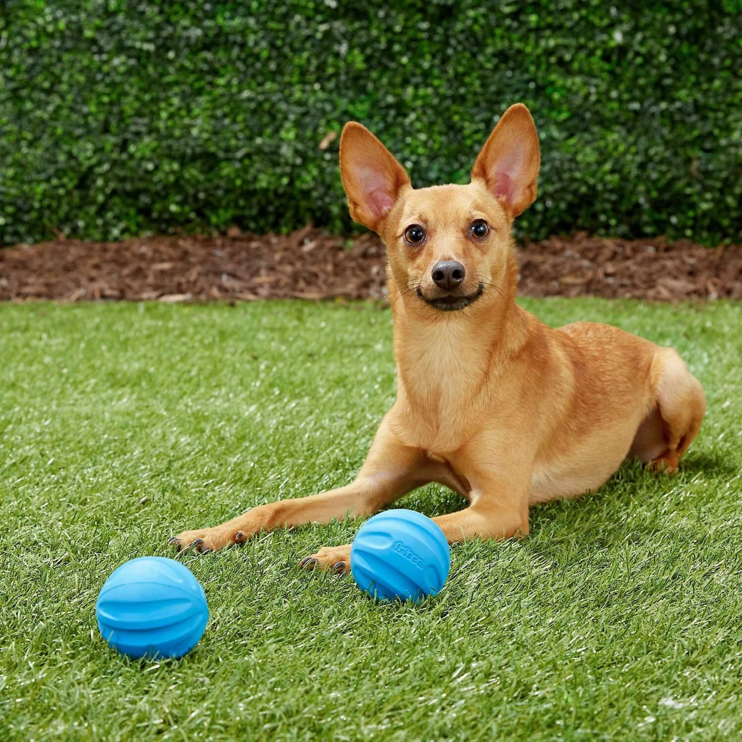 Frisco Neoprene Dog Life Jacket & Frisco Foam Rubber Floating Fetch Ball No Squeak Dog Toy - Image 8