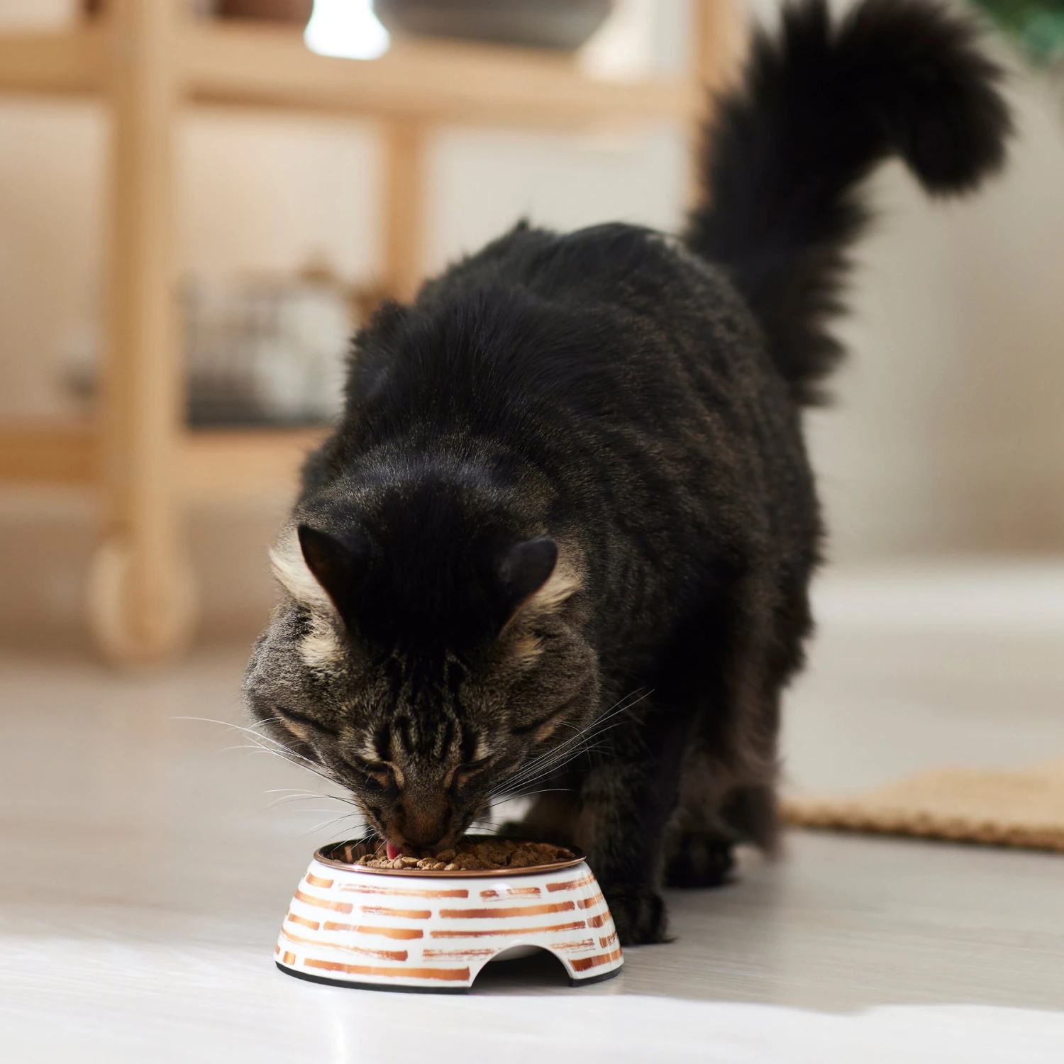 Frisco Copper Print Design Stainless Steel Dog & Cat Bowl - Image 4