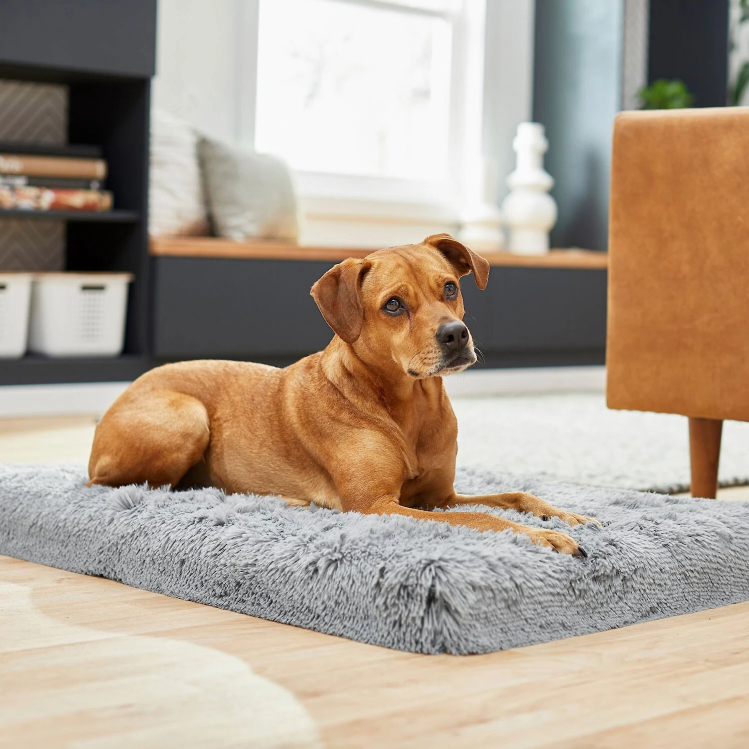 Frisco Eyelash Orthopedic Dog Crate Mat & Frisco Fold & Carry Single Door Collapsible Wire Dog Crate - Image 5