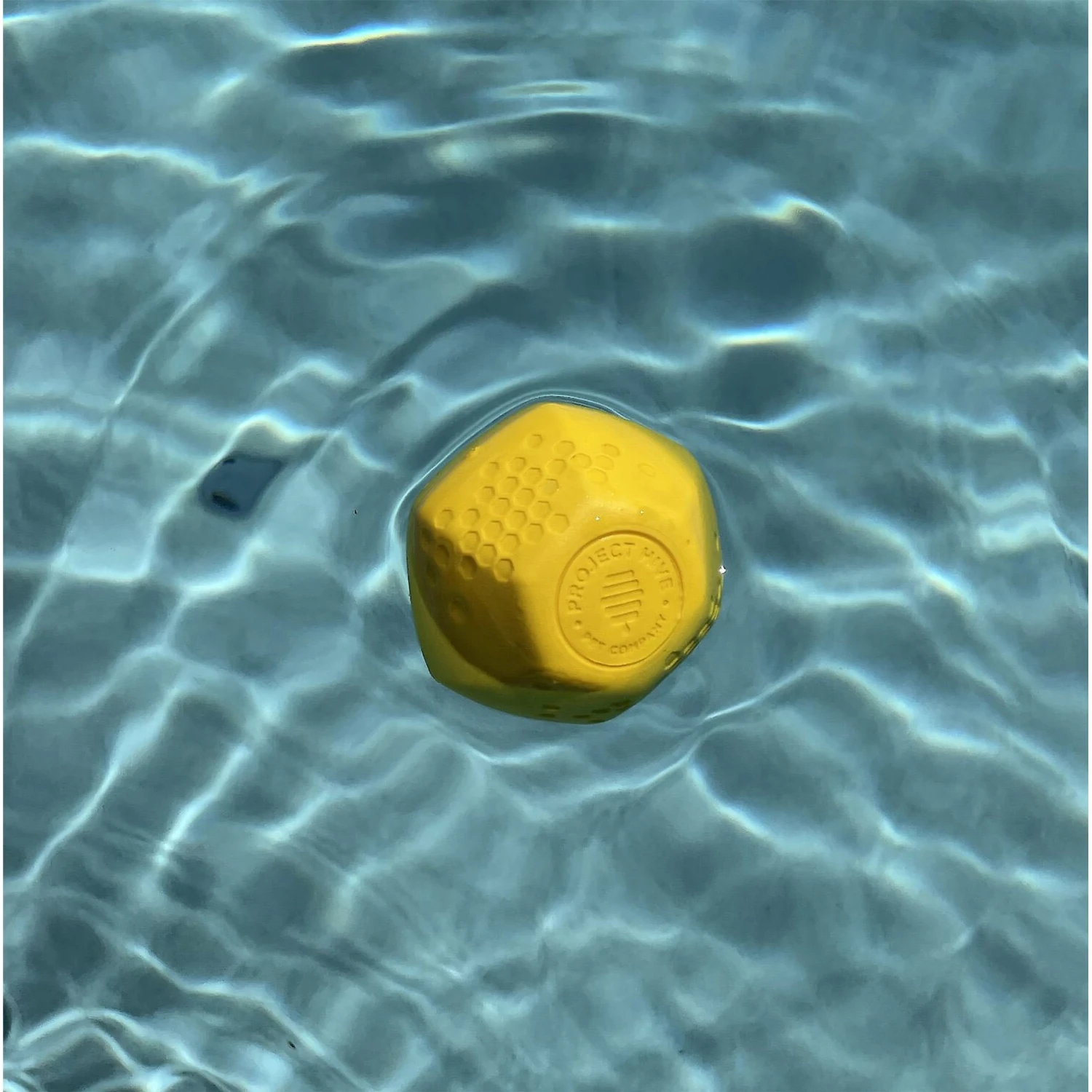 Frisco Fetch Squeaking Colorful Tennis Ball Dog Toy & Project Hive Pet Company Ball Dog Toy - Image 7