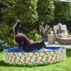 Frisco Outdoor Dog Swimming Pool, Hawaiian Print