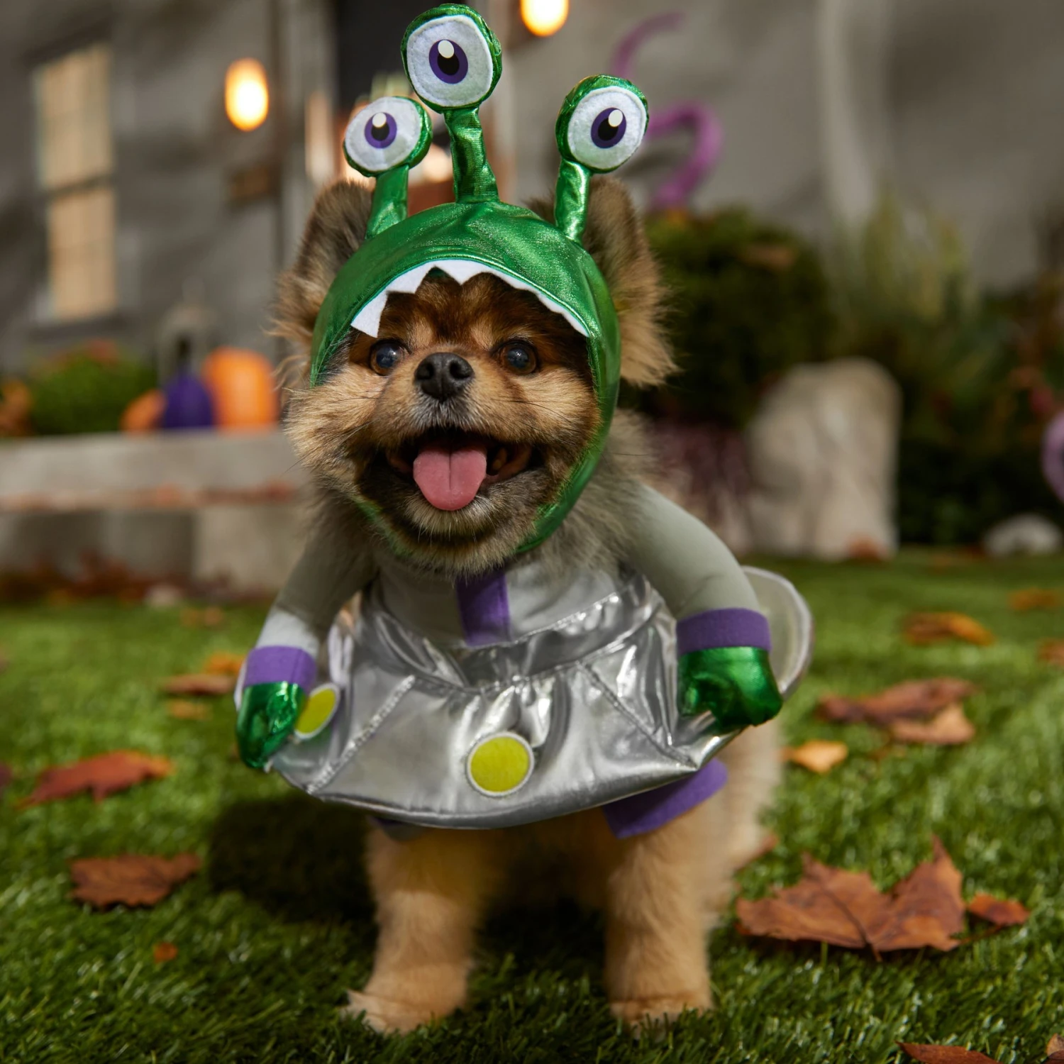 Frisco Front Walking Alien Dog & Cat Costume - Image 7