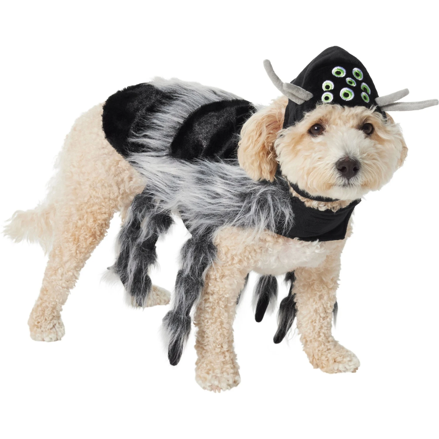 Frisco Spider Dog & Cat Costume