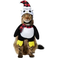 Frisco Front Walking Holiday Penguin Dog & Cat Costume