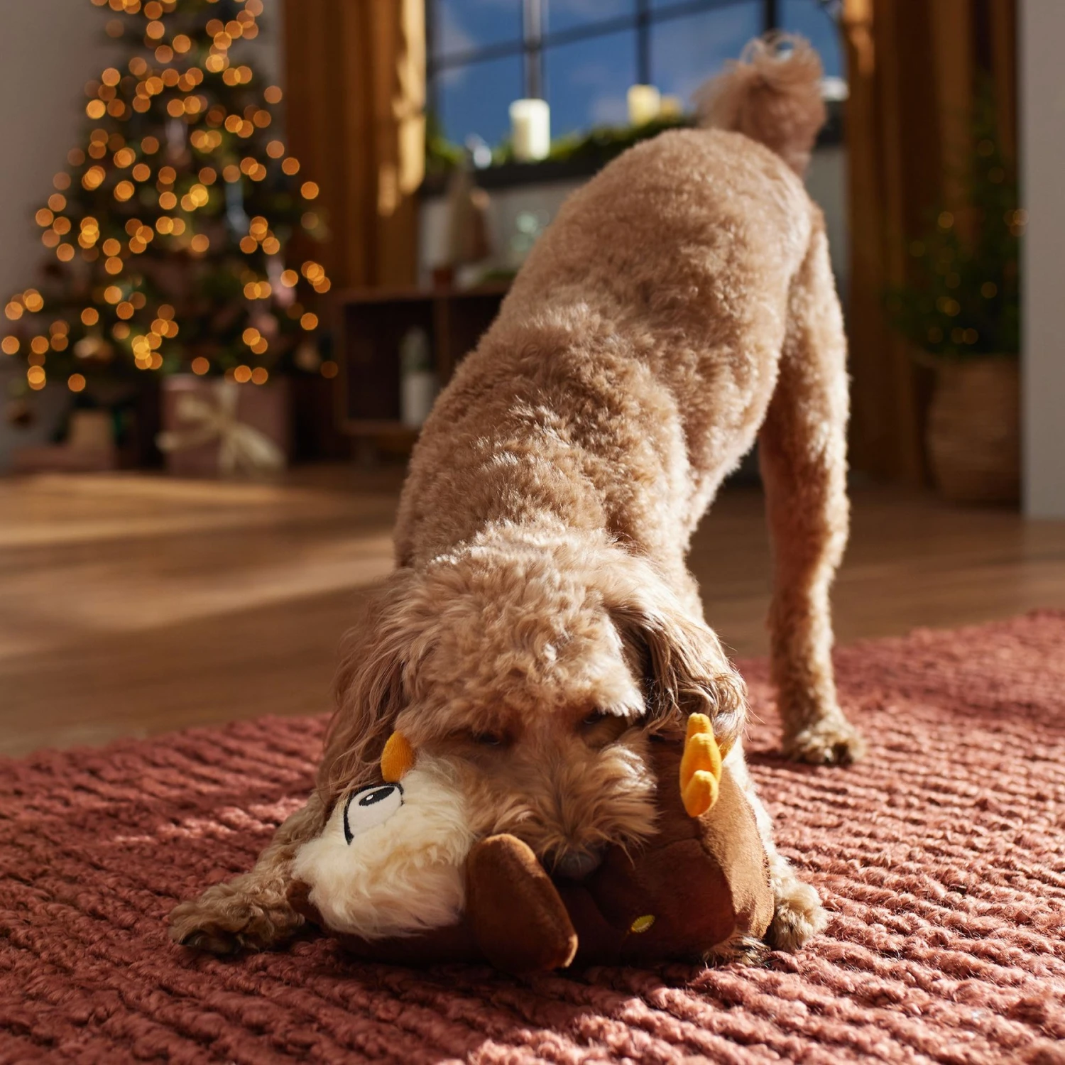 Frisco Holiday Festive Owl Plush Squeaky Dog Toy - Image 3