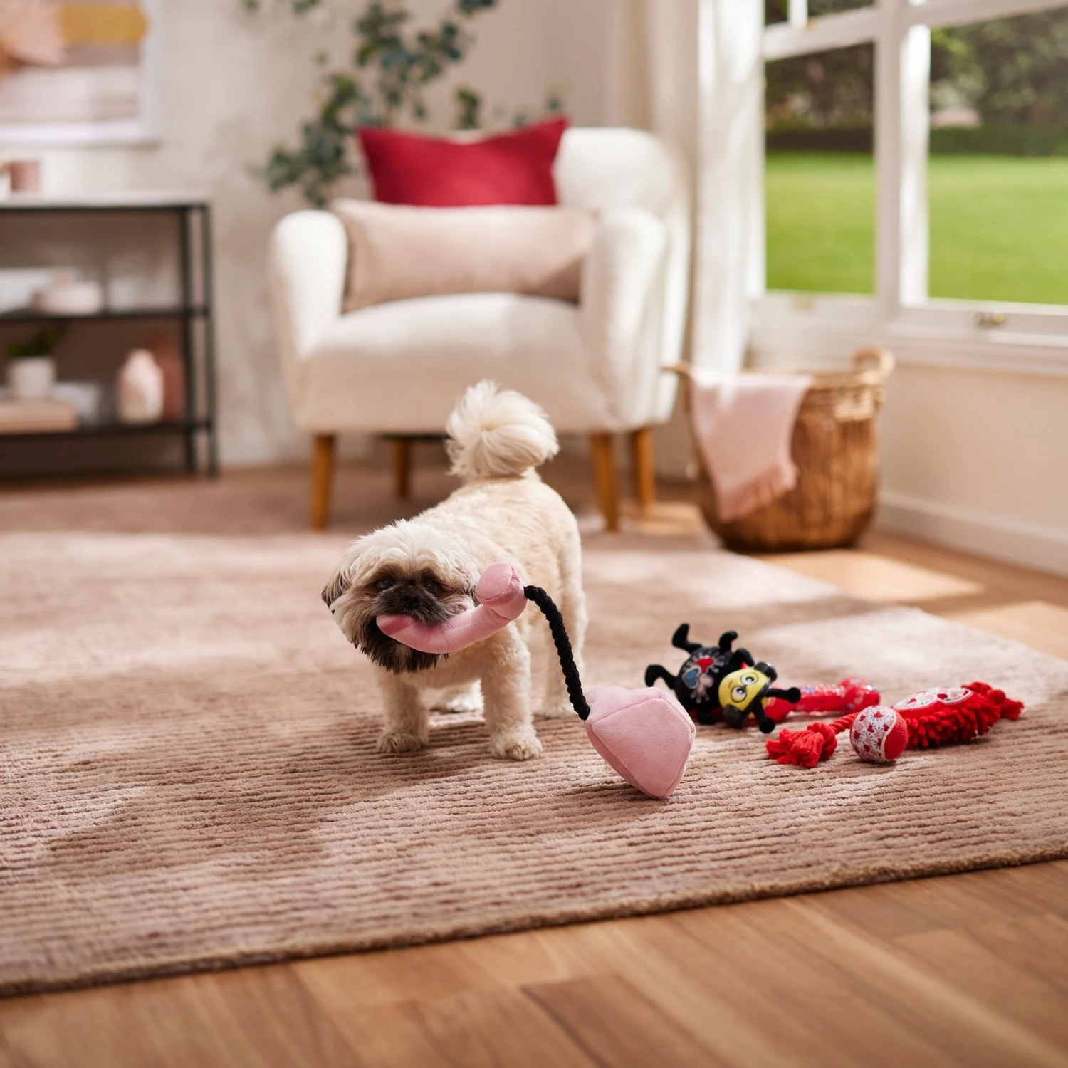 Frisco Valentine Rope, TPR & Plush Variety Pack Dog Toy - Image 3