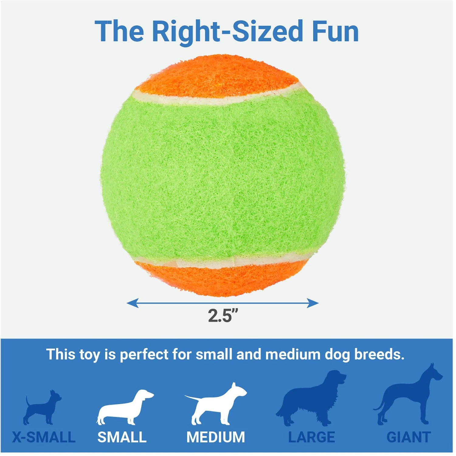 Frisco Dumbbell TPR Fetch Dog Toy + 3 Items - Image 7