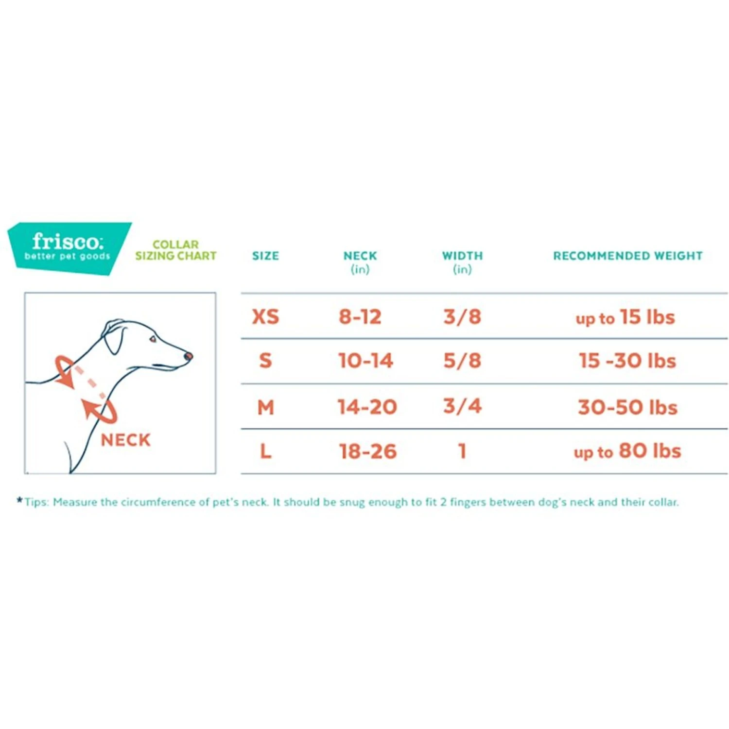 Frisco Solid Nylon Dog Leash + 4 Items - Image 7