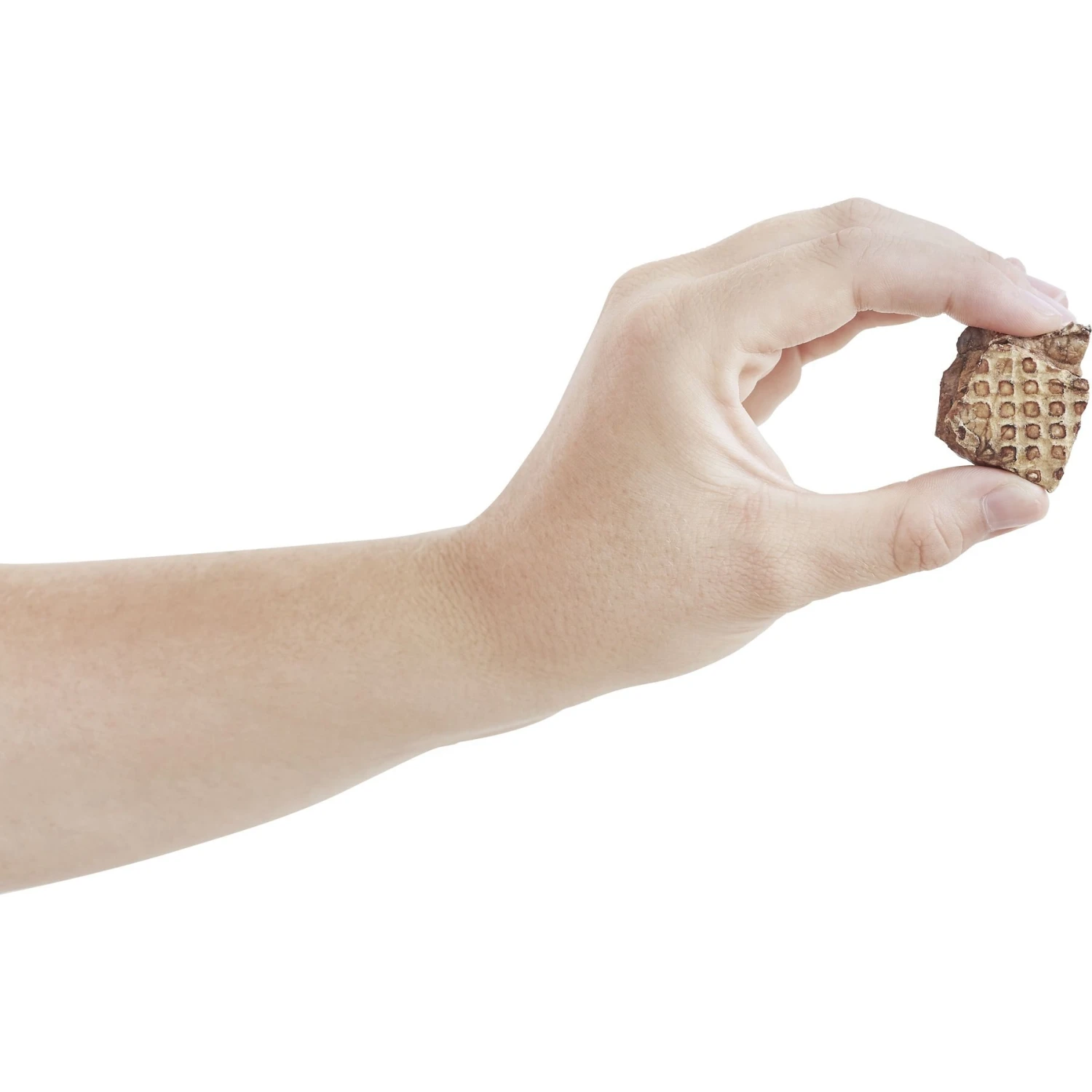 Frisco Extra Large Eco-Conscious Dog Training & Potty Pads & Bones & Chews All-Natural Lamb Lung Dehydrated Dog Treats - Image 9