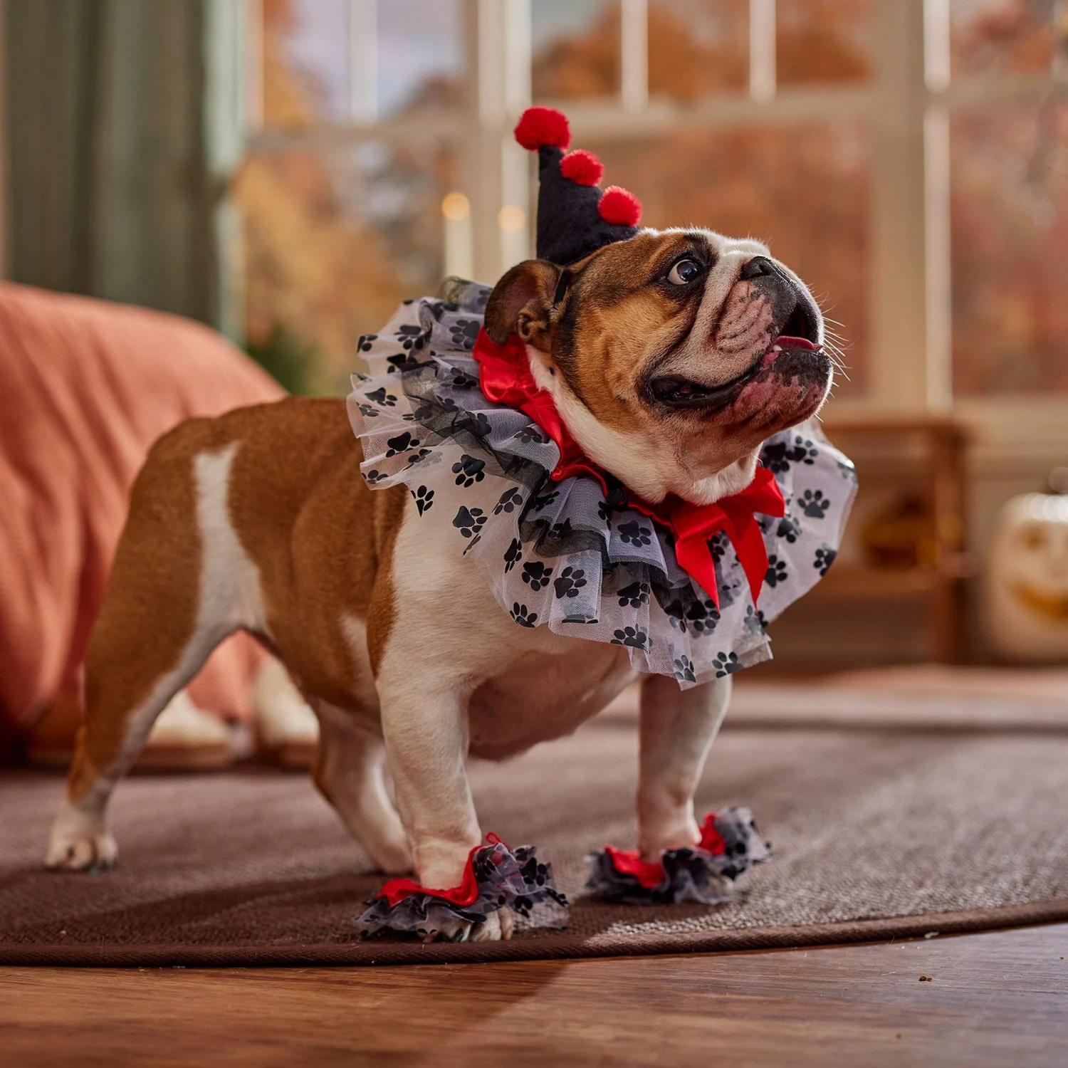 Frisco Clown Dog & Cat Costume Accessory - Image 6