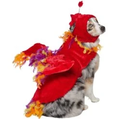 Frisco Flying Phoenix Dog & Cat Costume