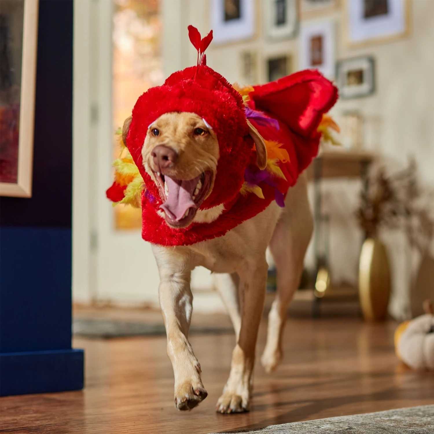 Frisco Flying Phoenix Dog & Cat Costume - Image 7