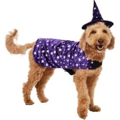 Frisco Cosmic Witch Dog & Cat Costume