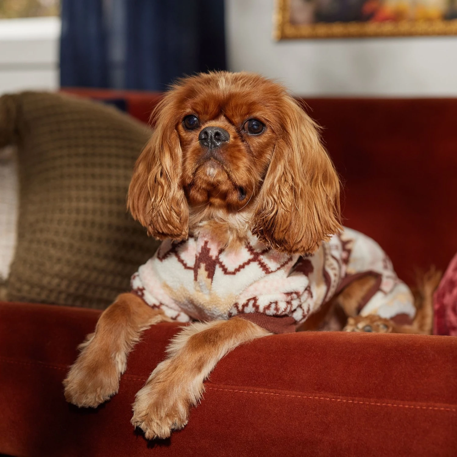 Frisco Fairisle Cozy Plush Fleece Dog & Cat PJs, Cream - Image 7