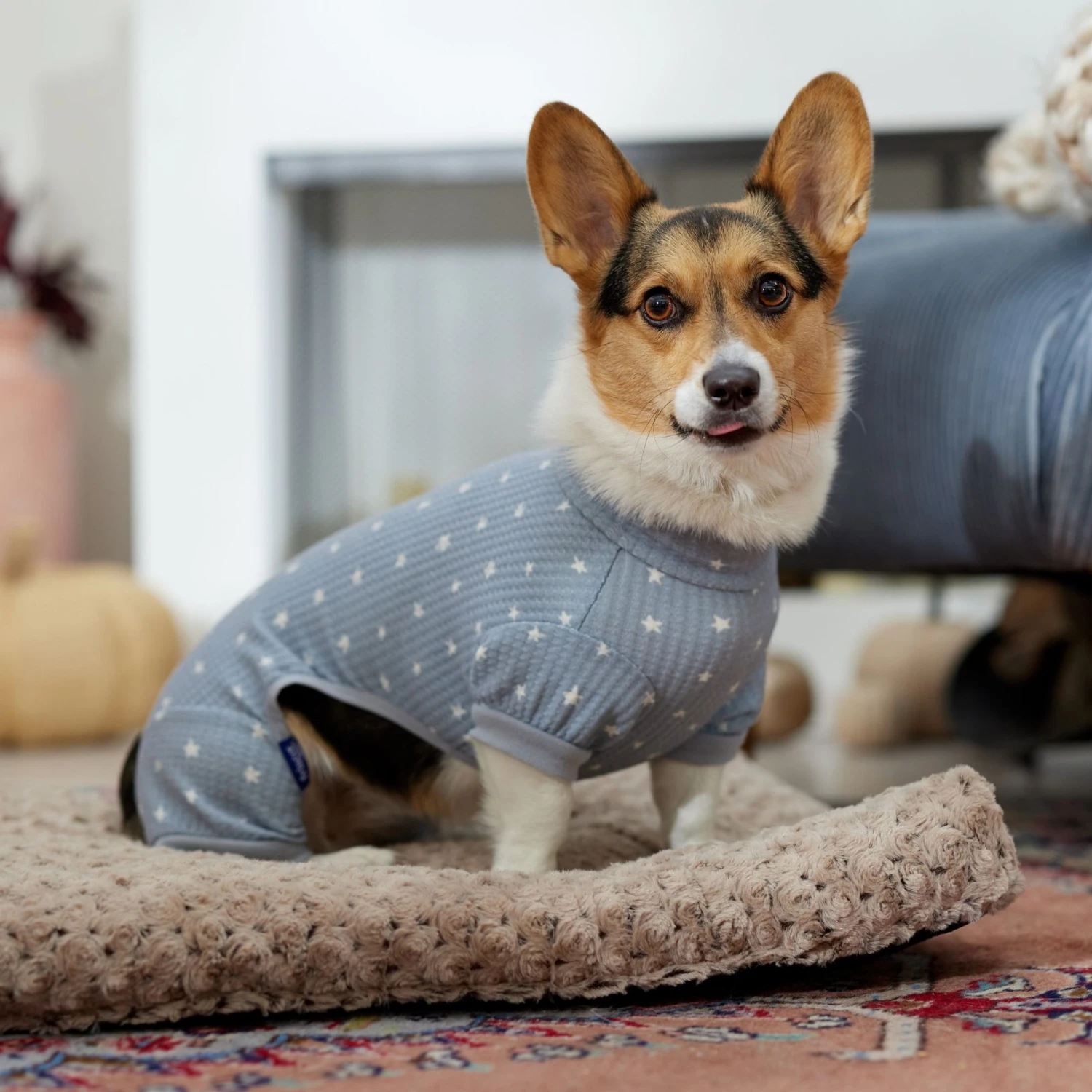 Frisco Cozy Waffle Knit Dog & Cat PJs, Starry Night - Image 7
