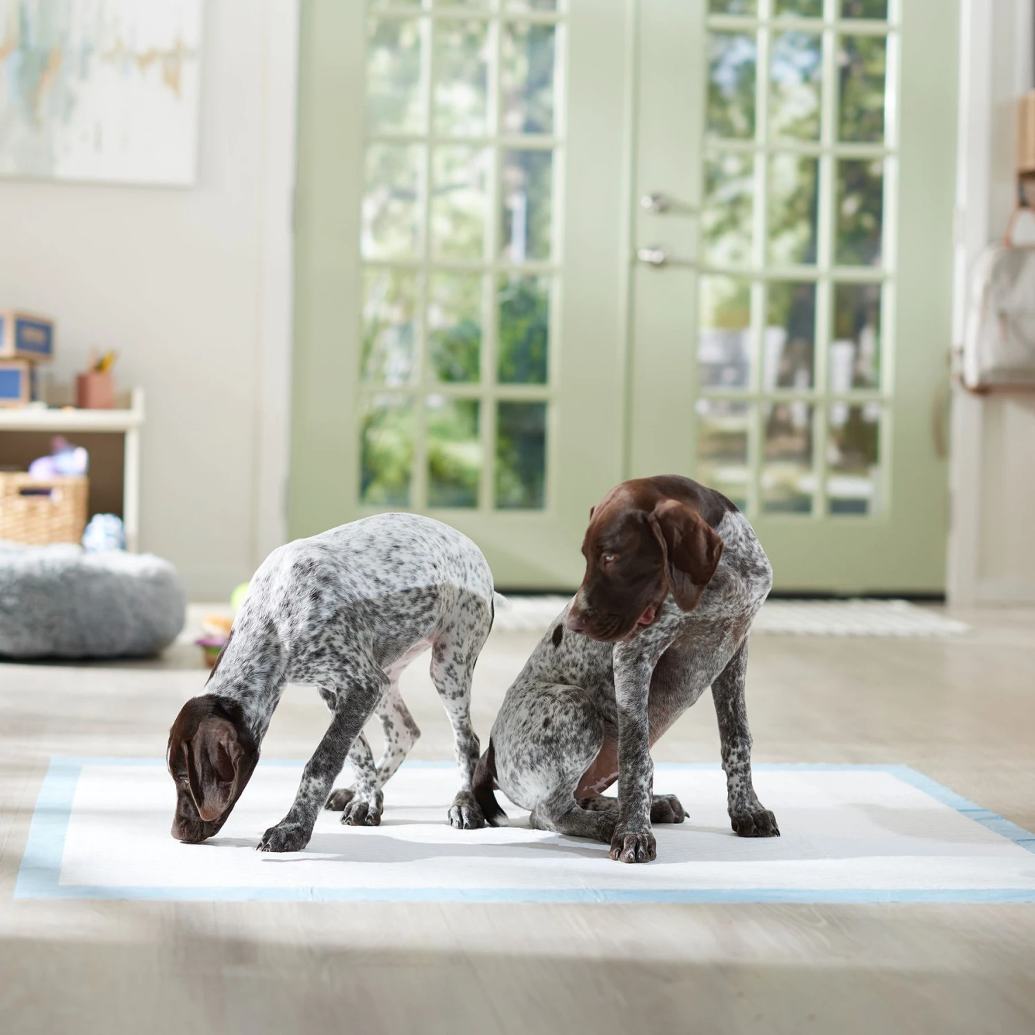 Frisco Mega Non-Skid Ultra Premium Dog Training & Potty Pads - Image 6