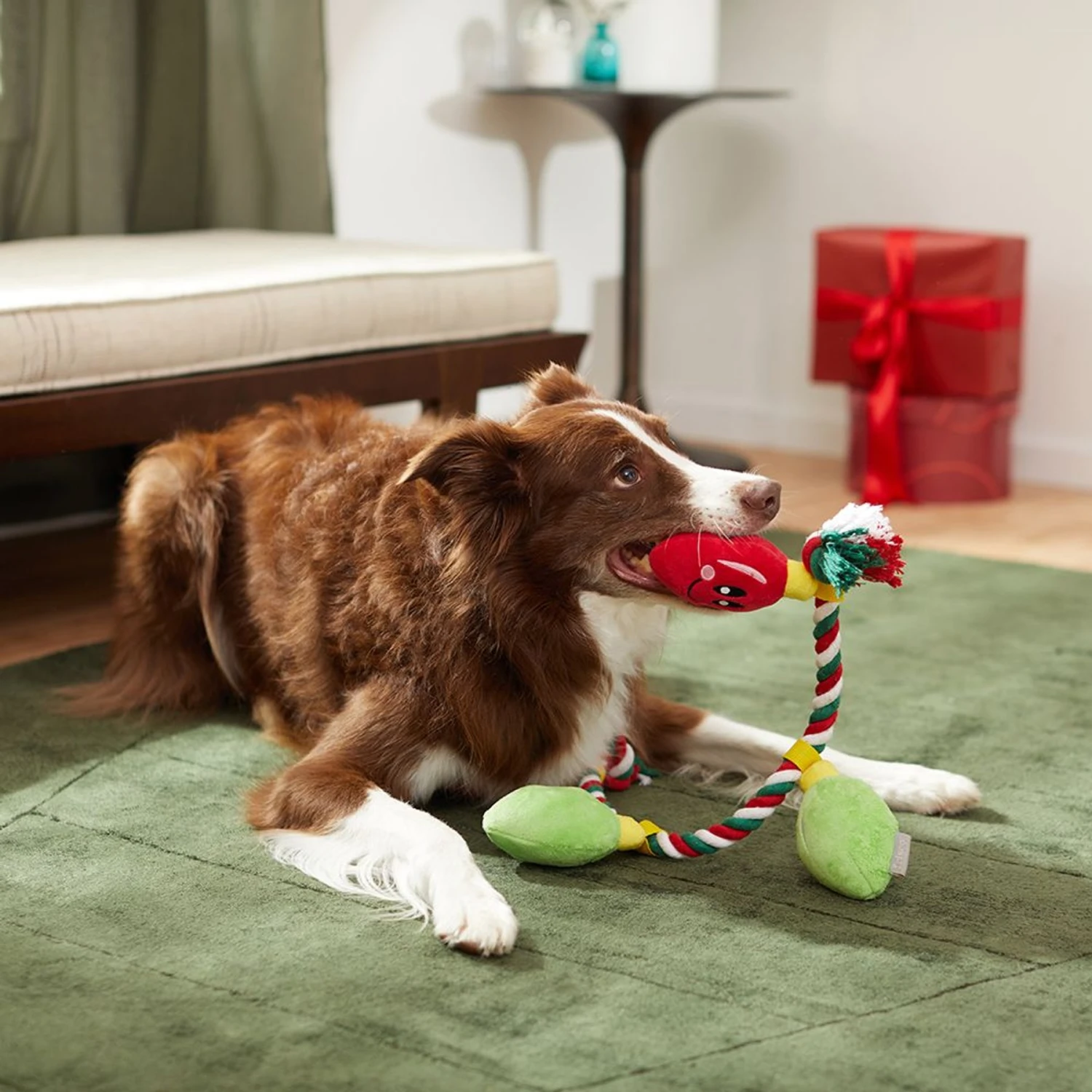 Frisco Holiday Reindeer Plush With Rope Squeaky Dog Toy & Frisco Holiday Lights Plush With Rope Squeaky Dog Toy - Image 8